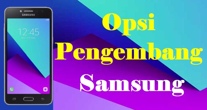 Cara Mengaktifkan Opsi Pengembang Di Hp Samsung - Homecare24